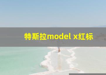 特斯拉model x红标